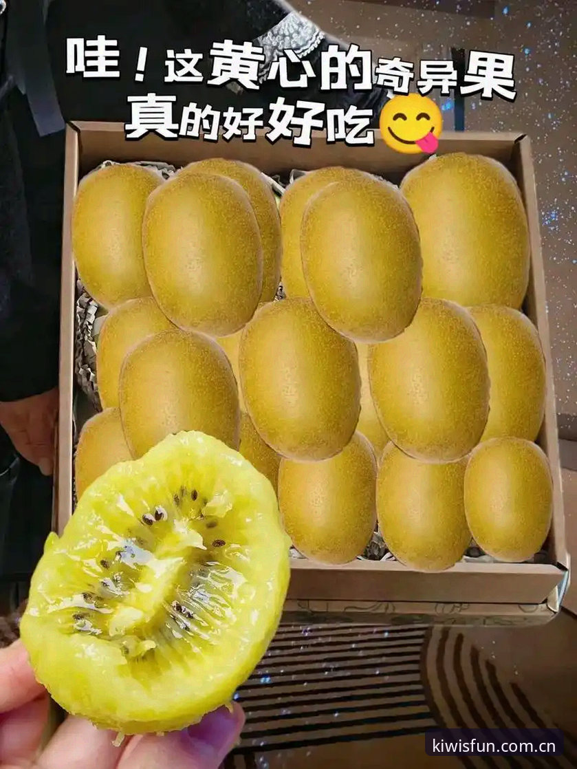 奇异果体育平台下载遇阻？3种高效解决思路助你快速入场